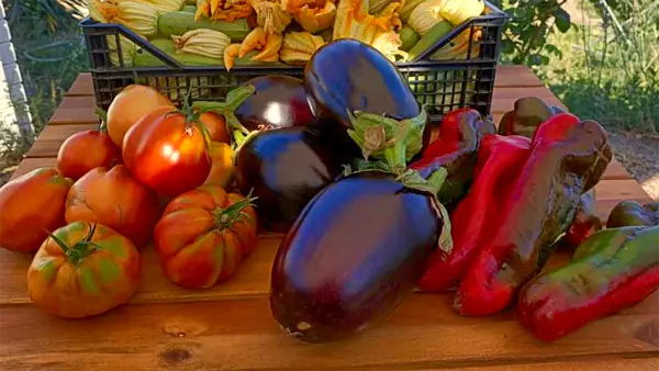 I colori vivaci della nostra produzione agricola