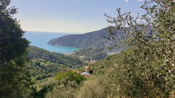 Il sentiero sale nel bosco