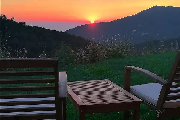 Un'Oasi di Pace